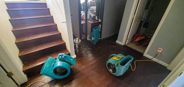 Best Water damage cleanup near me  in Howey In The Hills, FL