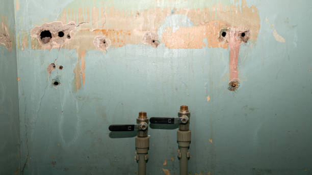 Best Residential water damage restoration  in Howey In The Hills, FL