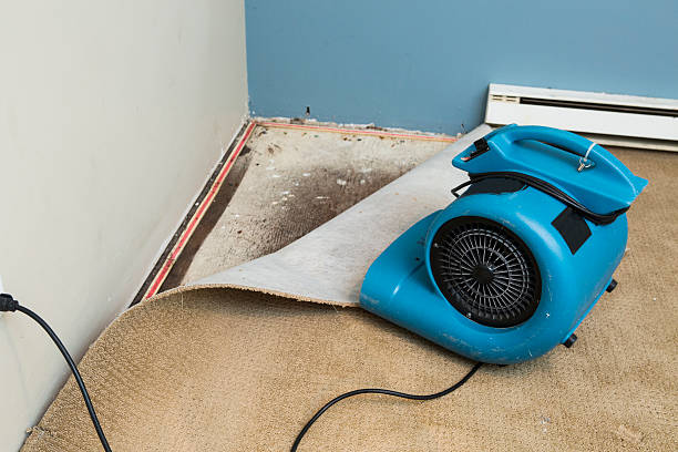 Best Commercial water damage restoration  in Howey In The Hills, FL